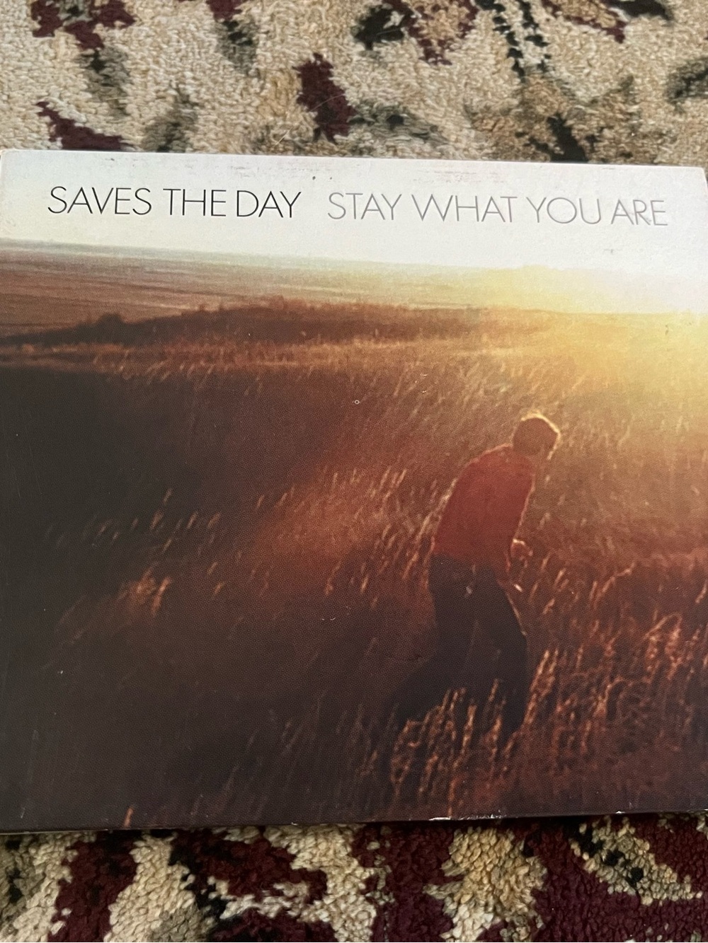Saves The Day Stay What You Are CD 2001 Emo Pop Punk Vagrant